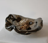 Palladium Cloud Bowl by Carrie Cramer